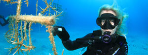 PADI underwater naturalist specialty course phuket