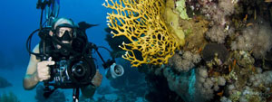 PADI Underwater Photography Specialty Phuket