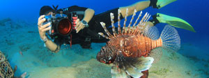 Phuket dive courses