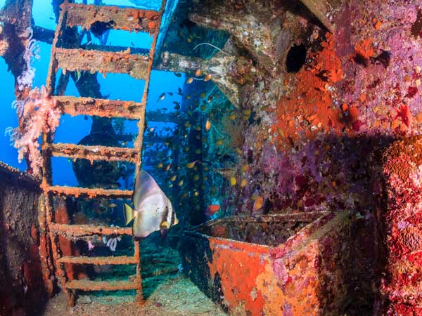 King Cruiser Phuket wreck diving