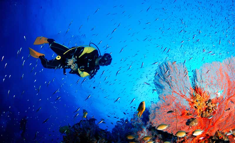 PADI IDC Phuket