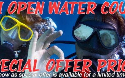 Phuket Dive Courses Special Offer